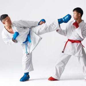 AT3 WKF Approved Tokyodo K-10 - mit dünnerem Stoffi - das NEUE Shureido