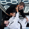 PX Legacy BJJ uniform weiss